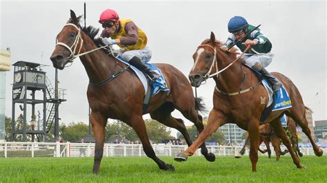 blue diamond stakes field